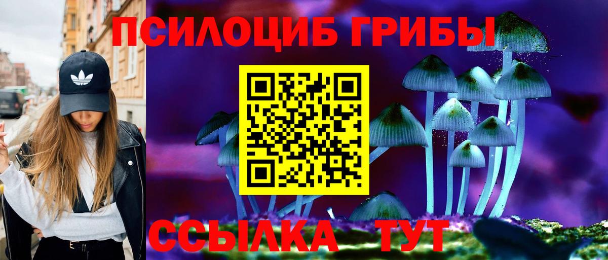 Галлюциногенные грибы Psilocybe  Вход с VPN  Волжск  закладка  Галлюциногенные грибы Magic Shrooms 