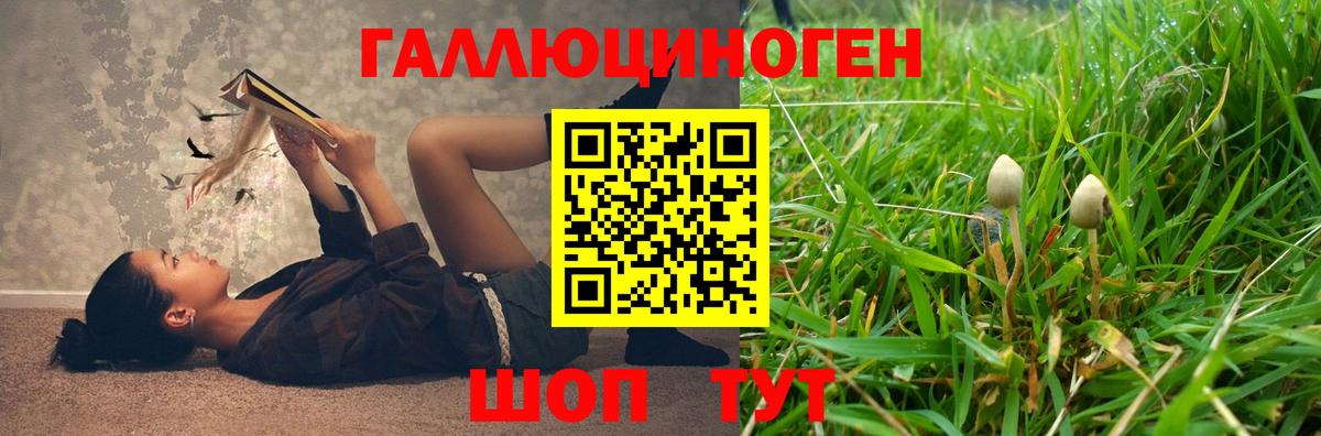 Псилоцибиновые грибы мухоморы Волжск